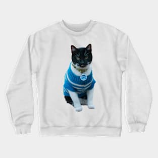 Cats in Sweaters Crewneck Sweatshirt